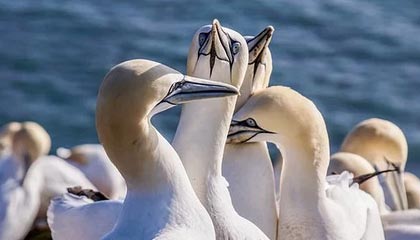 合利宝取得数字货币交易的流通管理专利