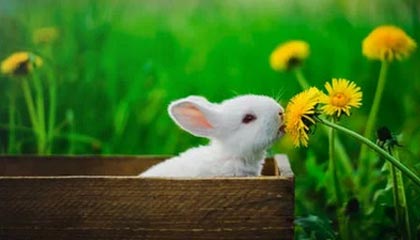 王晋斌：美元贬值撬动了全球货币-资产价格