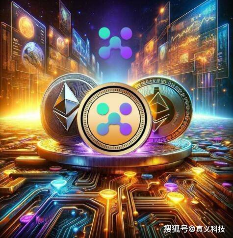 数字货币持有率攀升，XBIT解析使用频率，dex交易所永续合约胜率