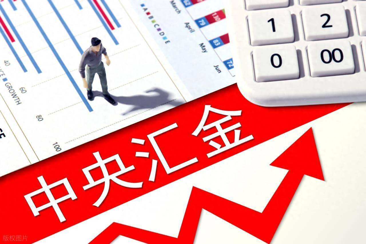 数字货币再迎大利好！中央汇金重仓的数字货币只有这3家