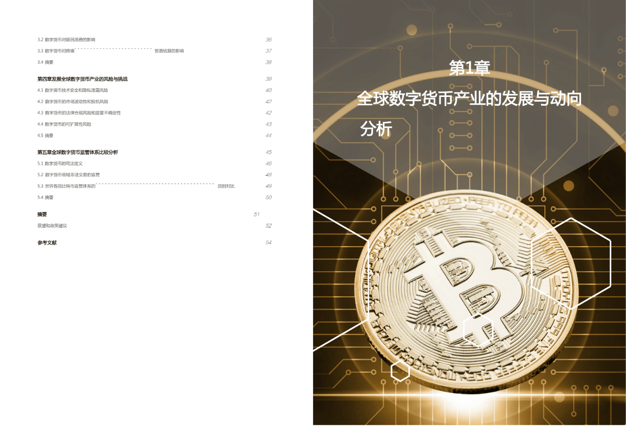 30页|2024全球数字货币发展报告（译文）