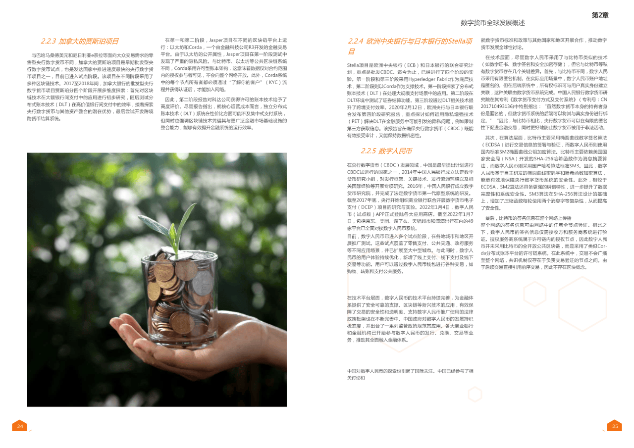 30页|2024全球数字货币发展报告（译文）