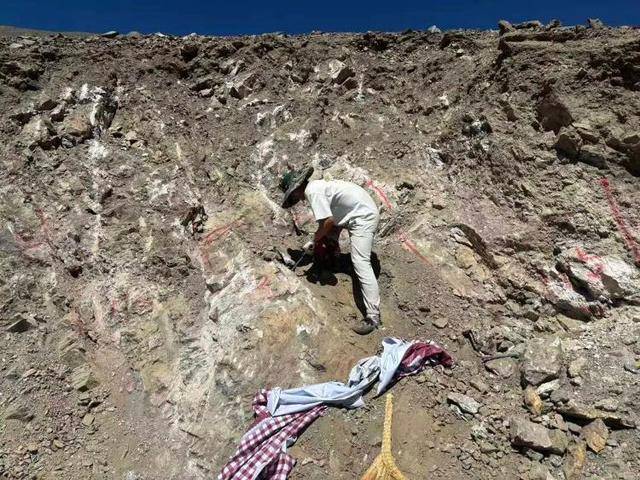 长沙00后小伙在新疆“找矿”,却因喂牛视频走红,当事人:每天见的牛羊比人还多