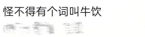 长沙00后小伙在新疆“找矿”,却因喂牛视频走红,当事人:每天见的牛羊比人还多
