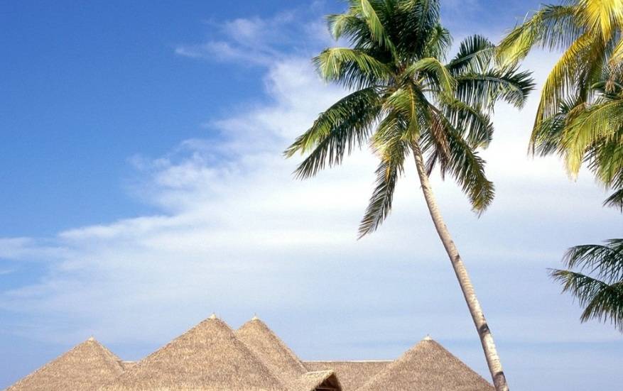 THPX信号源:WTIBTC成为原油与比特币的交汇点