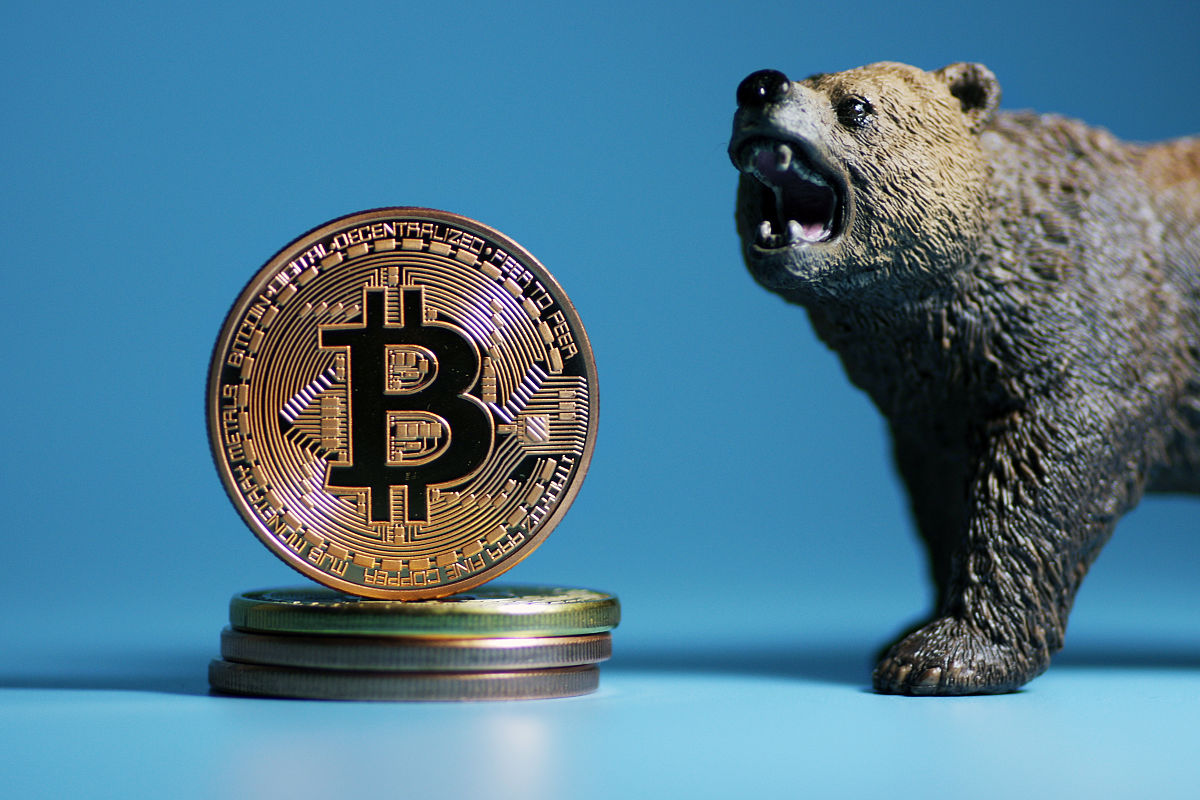 新型虚拟币(新型虚拟币货币有哪些)