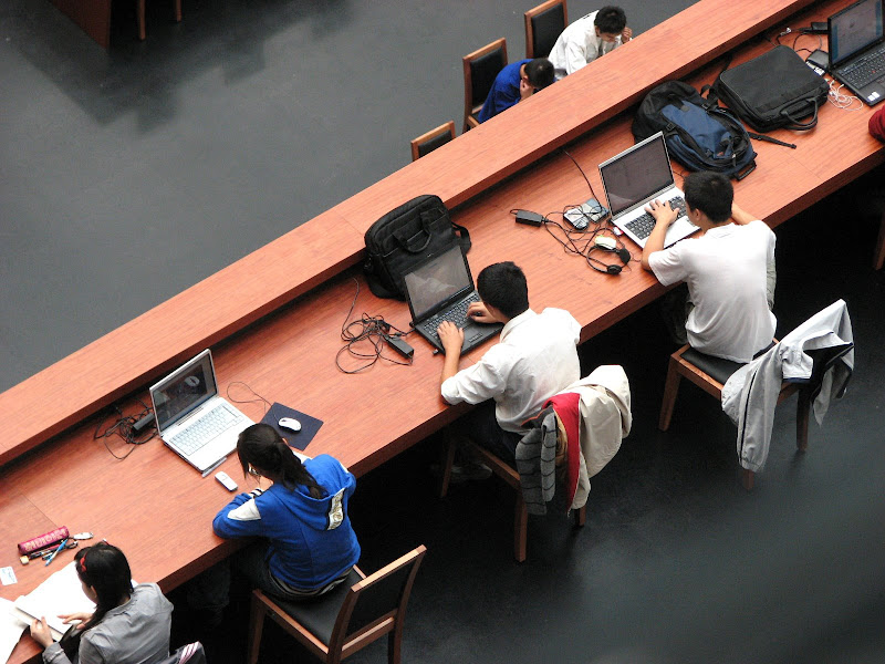 虚拟币老猫(虚拟币let)